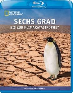 Fleisch und Milch zerstören Klima und Umwelt