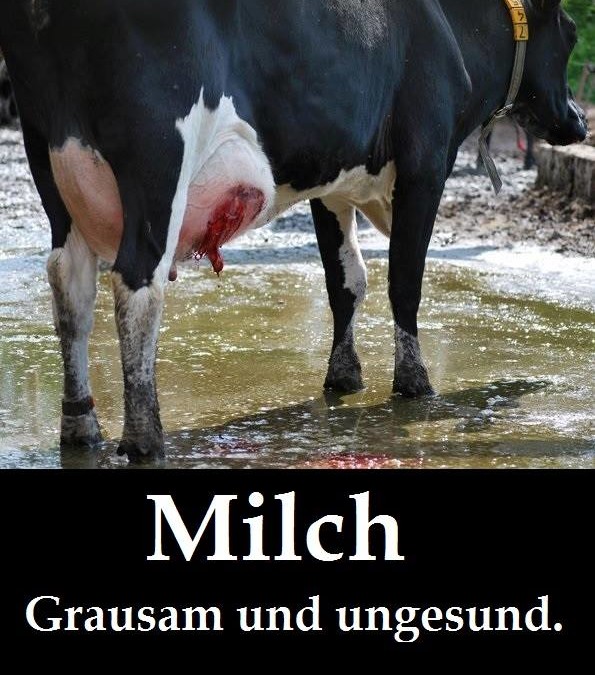 Milch ist grausam und ungesund