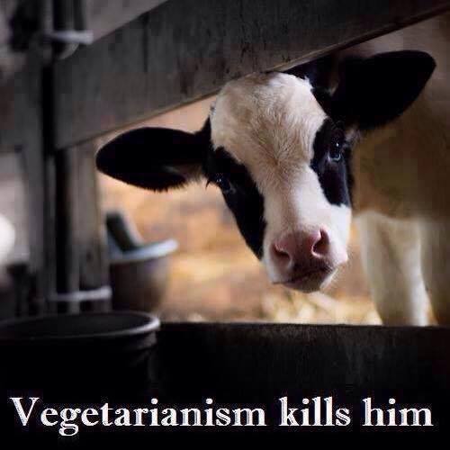 Vegetarier töten ihn.