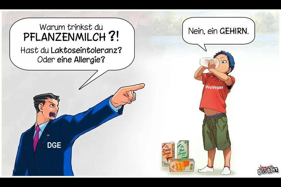 Die unseriösen Machenschaften der Deutschen Gesellschaft für Ernährung (DGE) – nachgewiesen am Beispiel der veganen Ernährung im Säuglings- und Kindesalter