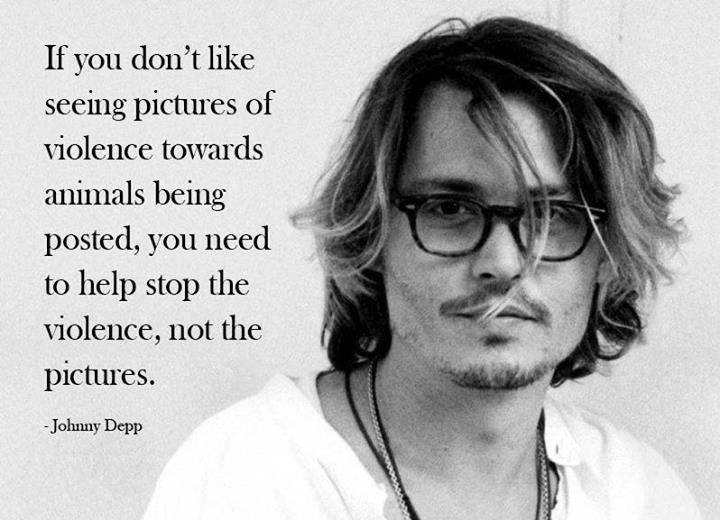 „Wenn Du nicht magst, dass Bilder gepostet werden, auf denen Gewalt gegen Tiere zu sehen ist, dann solltest Du die Gewalt gegen Tiere bekämpfen, aber nicht die Bilder.“ – Johnny Depp