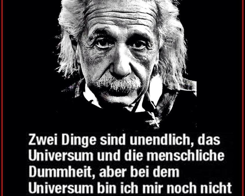 Albert Einstein Uber Die Krone Der Schopfung Veganbook