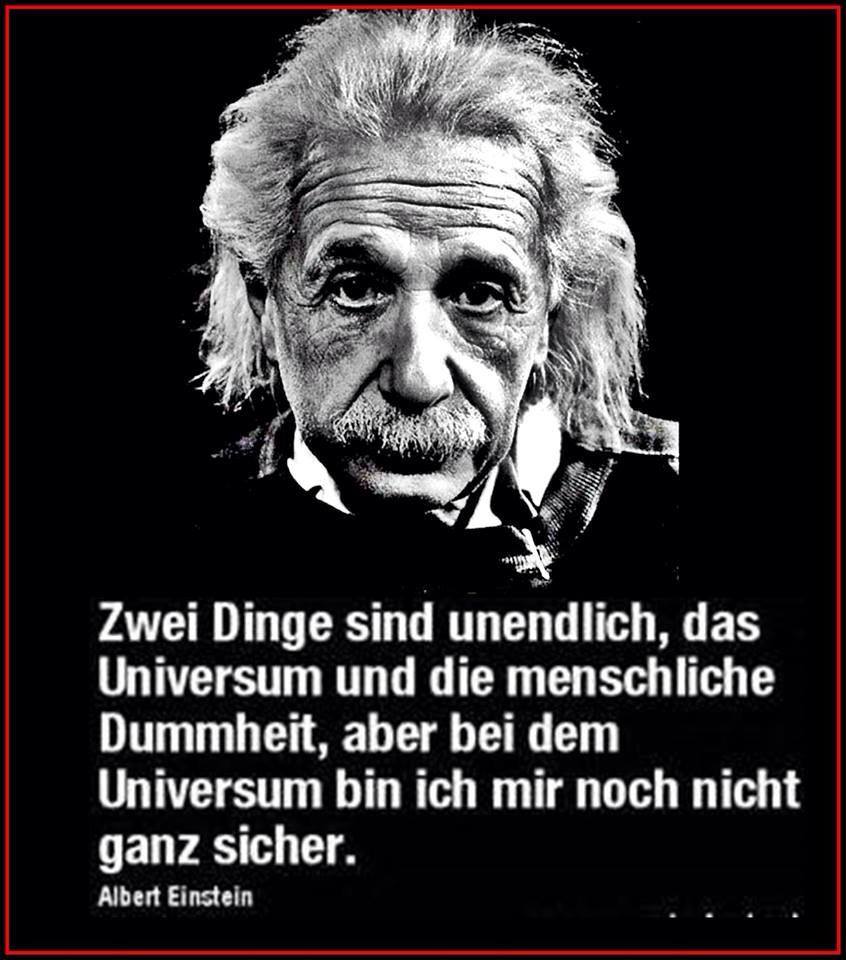 Image Result For Konfuzius Zitate Tiere Image Result For Konfuzius Zitate Tiere