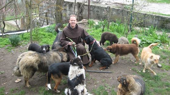 Der teuflische Bischof von Mostar will die wunderbare Tierschutzarbeit von Franziskaner Pater Anthony mit aller Gewalt verhindern!