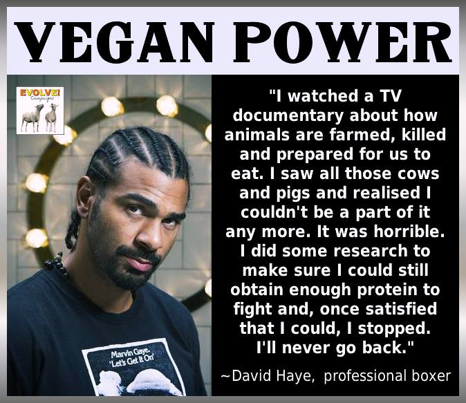 Danke David Haye!