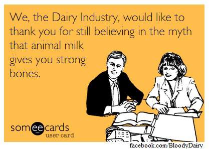 Ilse Aigner und die Milchindustrie möchten sich bei allen Konsumenten von Milch und Milchprodukten dafür bedanken, dass sie immer noch an das absurde Märchen glauben, Kuhmilch mache starke Knochen.