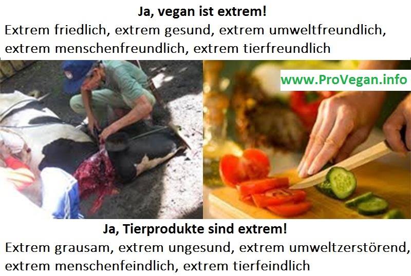 Ganz schön extrem…