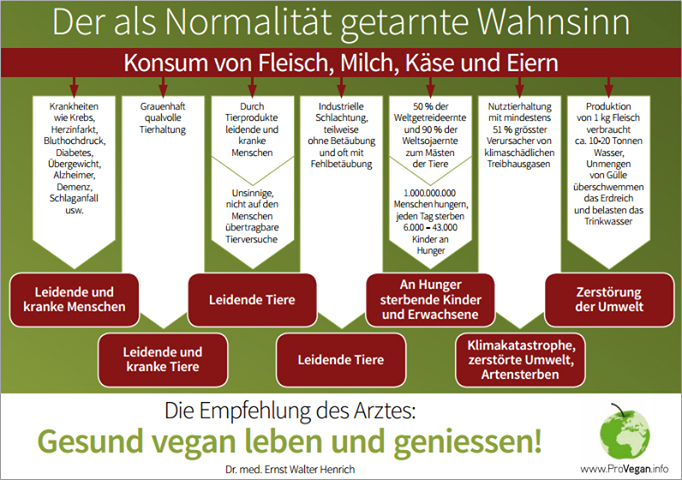 Wie ist es möglich, dass der Wahnsinn zur Normalität geworden ist?