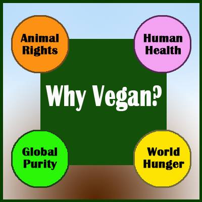 Warum vegan?