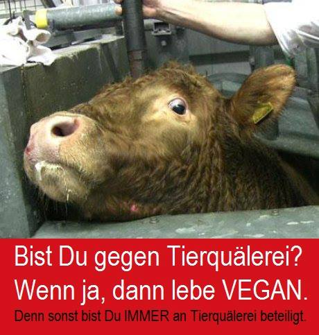 Bist Du gegen Tierquälerei?