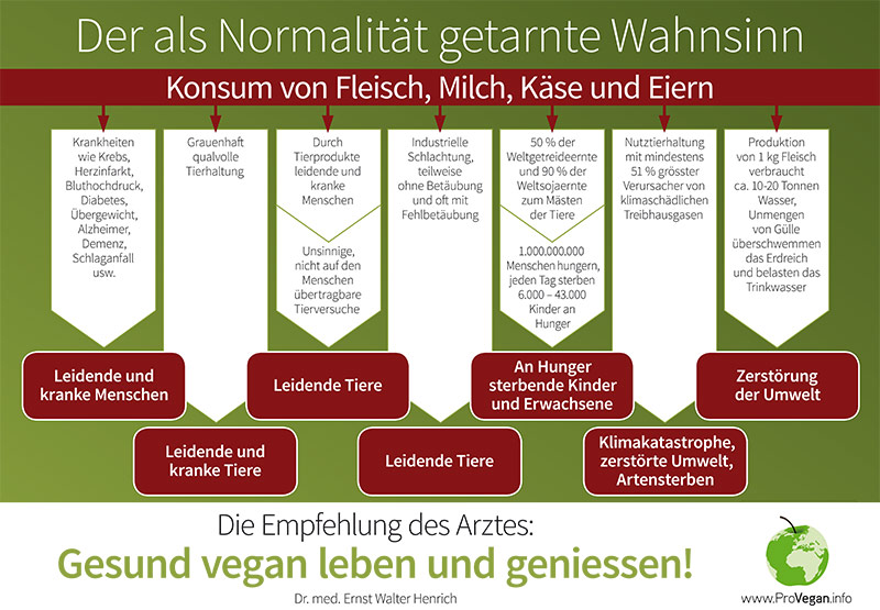 Der Wahnsinn als Normalität getarnt