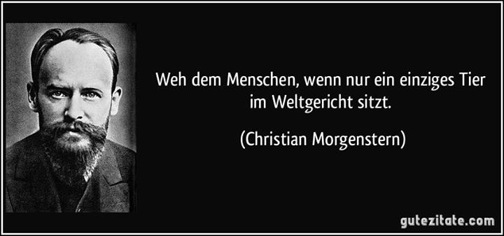 „Weh dem Menschen, wenn nur ein einziges Tier im Weltgericht sitzt.“