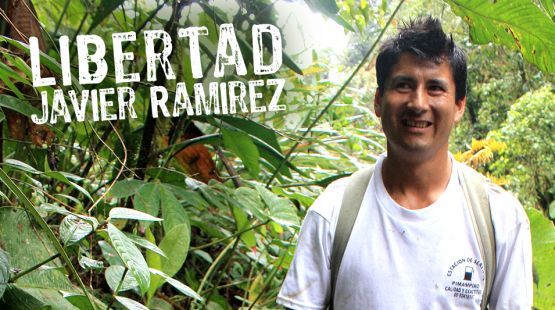 Ecuador: Keine Kupfermine im Regenwald