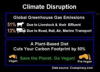 Klimakatastrophe