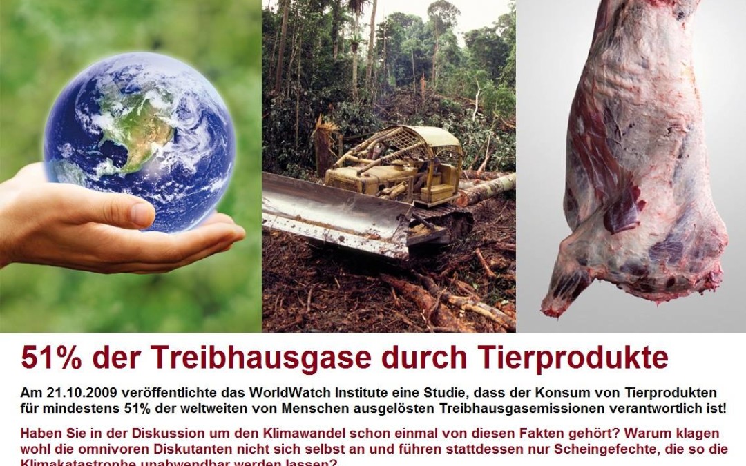 51% der Treibhausgase durch Tierprodukte