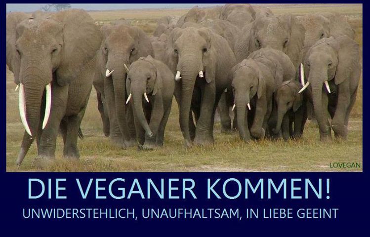 Wunderbares Bild