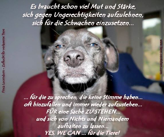 Mut und Stärke?