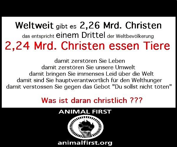 Christen, Juden und Moslems glauben an einen Gott – aber warum treten die meisten Gläubigen seine Schöpfung mit Füssen?