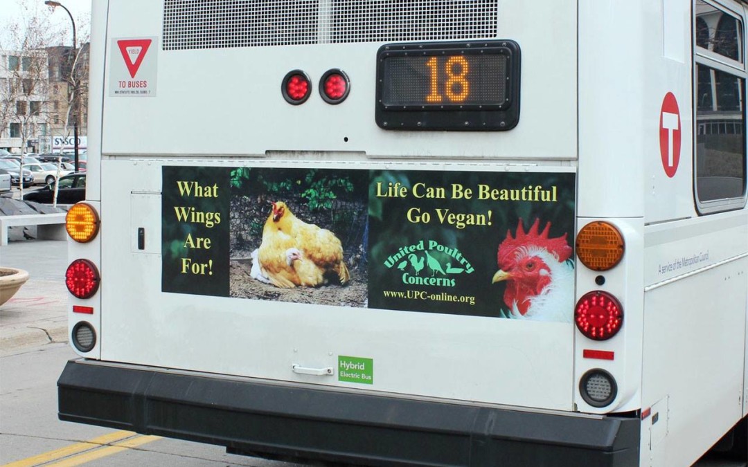 Vegane Werbung auf amerikanischen Bussen