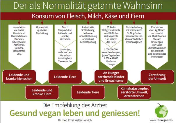 Der als Normalität getarnte Wahnsinn: Der Konsum von Fleisch, Milch, Käse und Eiern