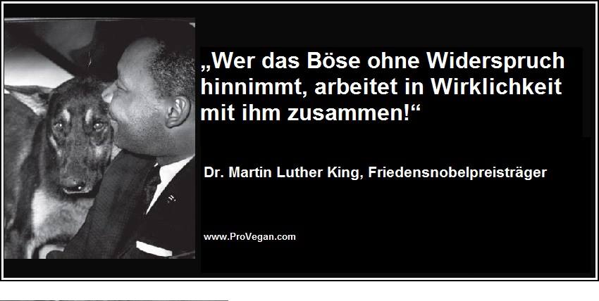 „Wer das Böse ohne Widerspruch hinnimmt, arbeitet in Wirklichkeit mit ihm zusammen!“