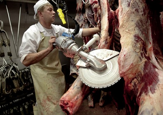 Die hauptverantwortlichen Täter sind nicht die Arbeiter in der Tierindustrie, sondern diejenigen, die die Tierprodukte konsumieren!