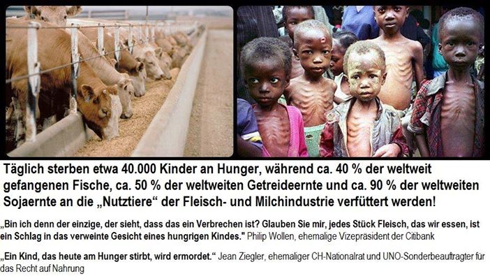 Die Kinder sterben nicht nur, weil die Menschen das Fleisch und andere Tierqualprodukte in den eigenen Mund stecken, sondern auch in den ihres Haustiers!