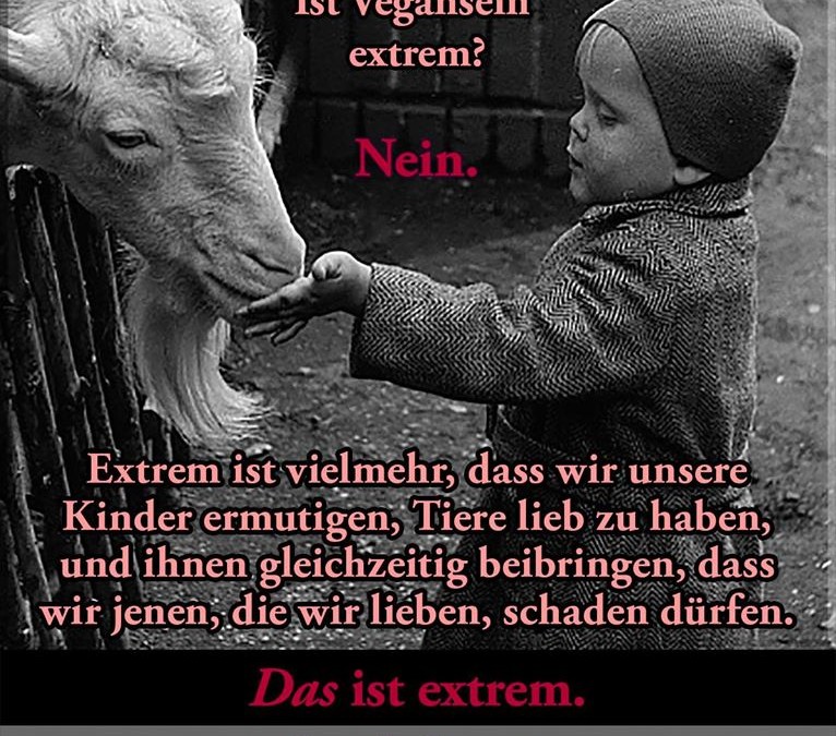 Ist vegan extrem?