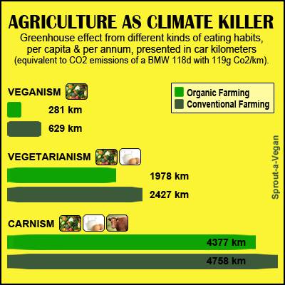 Der Klimawandel wird die Lebensgrundlagen auf dieser Erde vernichten – warum?