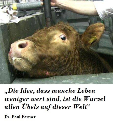 Die Idee, dass Tiere weniger wert sind als Menschen und „Nutztiere“ weniger wert sind als Haustiere, ist die Wurzel allen Übels auf dieser Welt. (EWH)