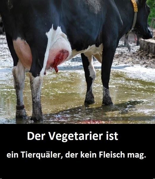 „Ein Vegetarier ist ein Tierquäler, der kein Fleisch mag.“