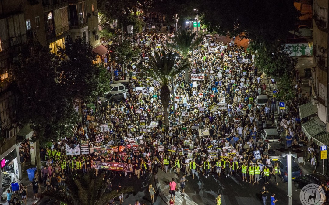 10.000- 15.000 Menschen demonstrieren in Tel Aviv für Tierrechte – warum ist das in so einem kleinen Land möglich?