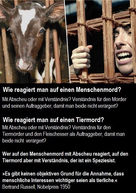 Wie reagierst Du auf einen Mord?