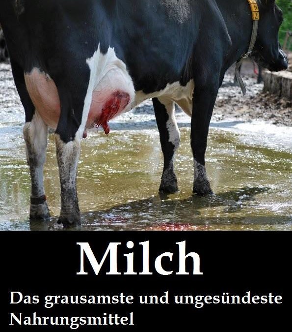 Am 1. Juni war „Tag der Ausbeutung, der Grausamkeit und des Mords“, auch „Tag der Milch“ genannt!