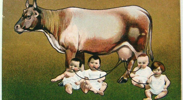 Milch und Milchprodukte sind die gesundheitsschädlichsten Nahrungsmittel – die Anzahl der Studien ist mittlerweile überwältigend, die dies zeigen