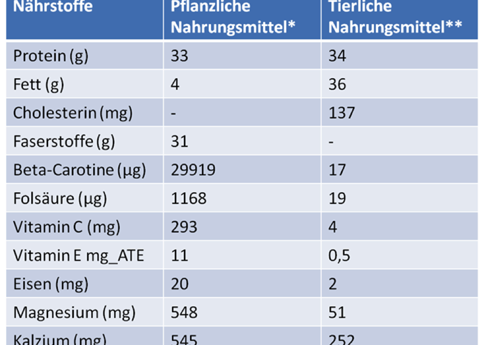 Vorurteile und Realität – mangelt es Veganern an Nährstoffen, auch wenn sie genügend Vitamin B12 aufnehmen?