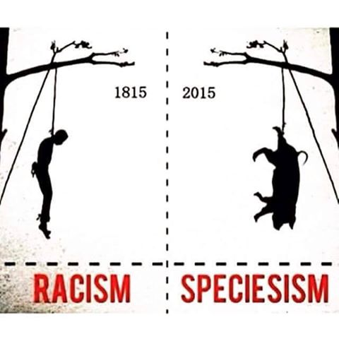 Rassismus und Speziesismus entspringen dem gleichen kranken Denken
