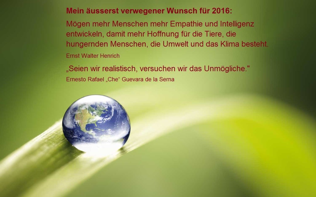 In dem Sinne alles Gute für 2016!