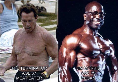 Der omnivore Terminator (Arnold Schwarzenegger) im Alter von 67 Jahren und der vegane Jim Morris im Alter von 75 Jahren