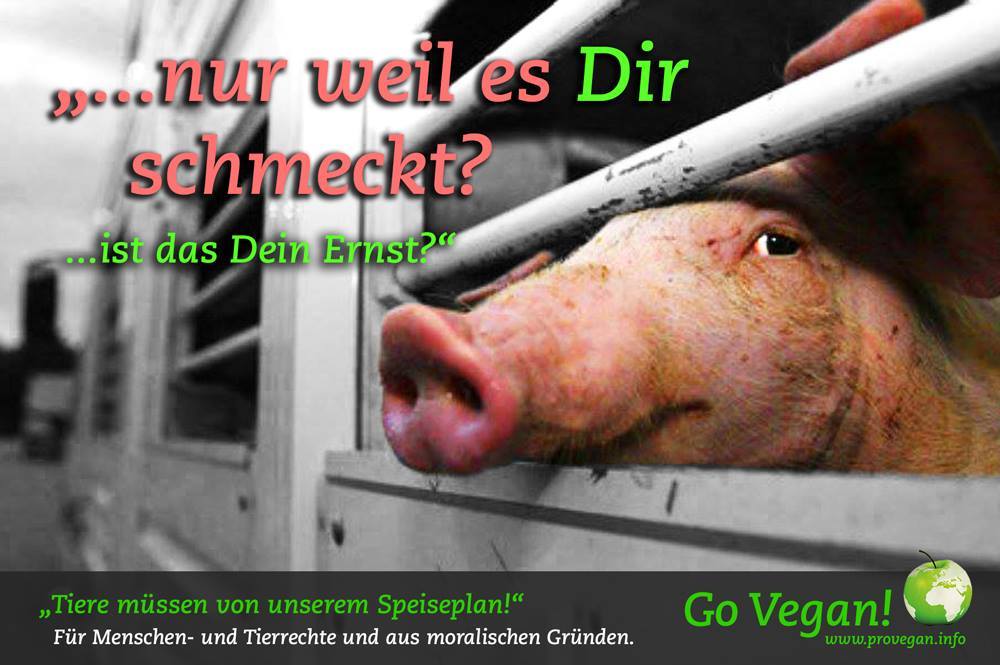 …nur weil es Dir schmeckt?