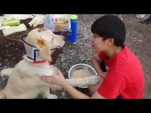 Es gibt auch tolle chinesische Tierschützer/Tierrechtler