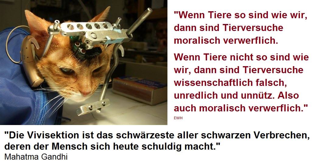 Tierversuche