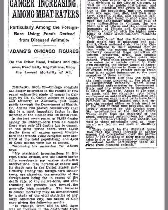 Schon 1907 (!) berichtete die New York Times über Studien, die eine erhöhte Krebsraten bei Fleischessern feststellten