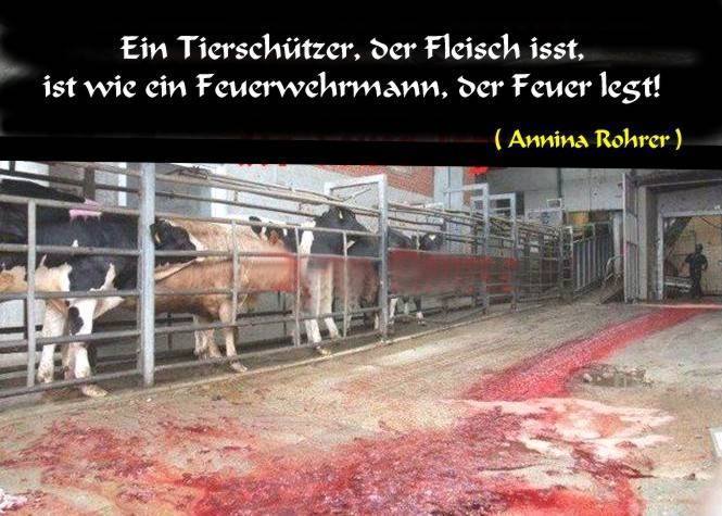 Tier”schützer”, die Fleisch essen oder Fleisch an ihre Haustiere verfüttern, und Vegetarier, die Milch trinken, sie alle sind wie Feuerwehrleute, die Feuer legen