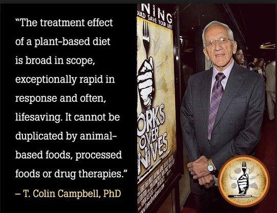 Prof. Dr. T. Colin Campbell zur veganen Ernährung:
