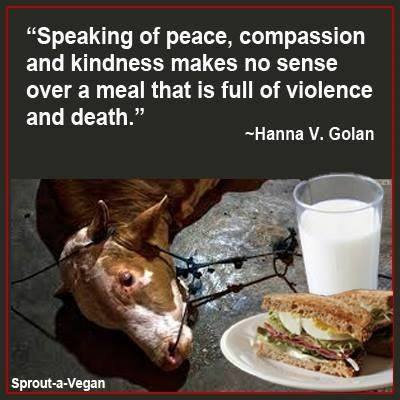 „Über Frieden, Mitgefühl und Güte zu reden macht keinen Sinn, wenn man gleichzeitig noch Mahlzeiten einnimmt, die auf Gewalt und Tod basieren.“