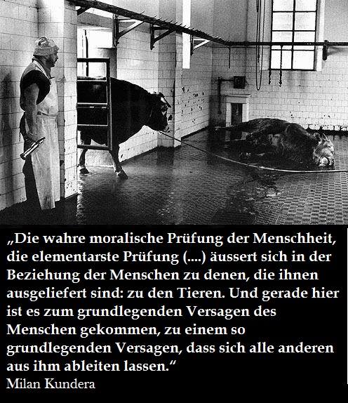 Die elementarste Prüfung