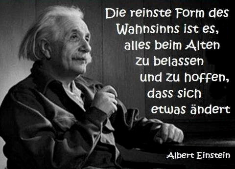 Zitat Albert Einstein Veganbook