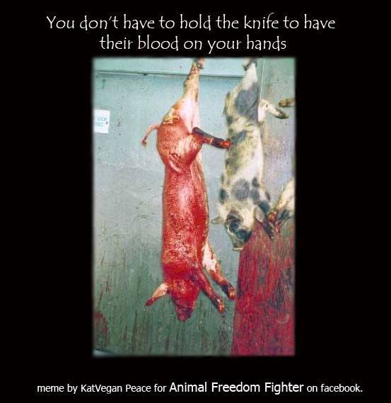 Du brauchst kein Messer, um Blut an den Händen zu haben. Der Kauf von Fleisch, Milchprodukten, Eiern und Fisch reicht.