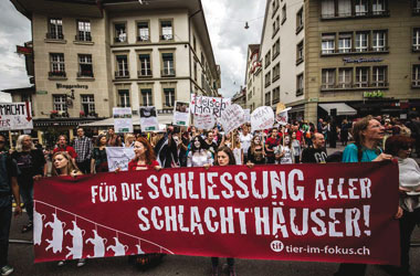 Sehr gut! – Die Schliessung aller Schlachthäuser wurde 2014 in Bern gefordert